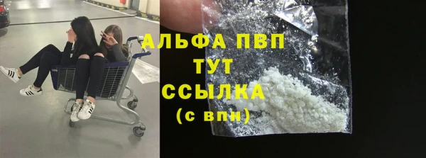 прущие грибы Зерноград