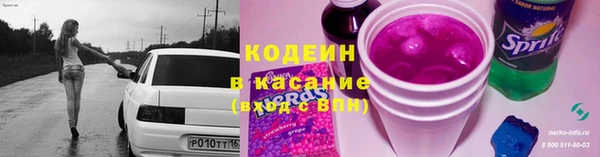 прущие грибы Зерноград