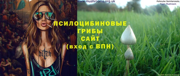 прущие грибы Зерноград
